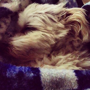 rocsleeping1insta