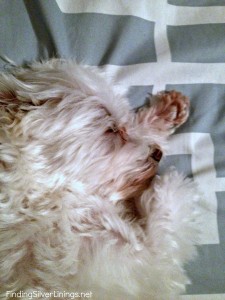 sleeping