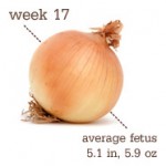 week17onion