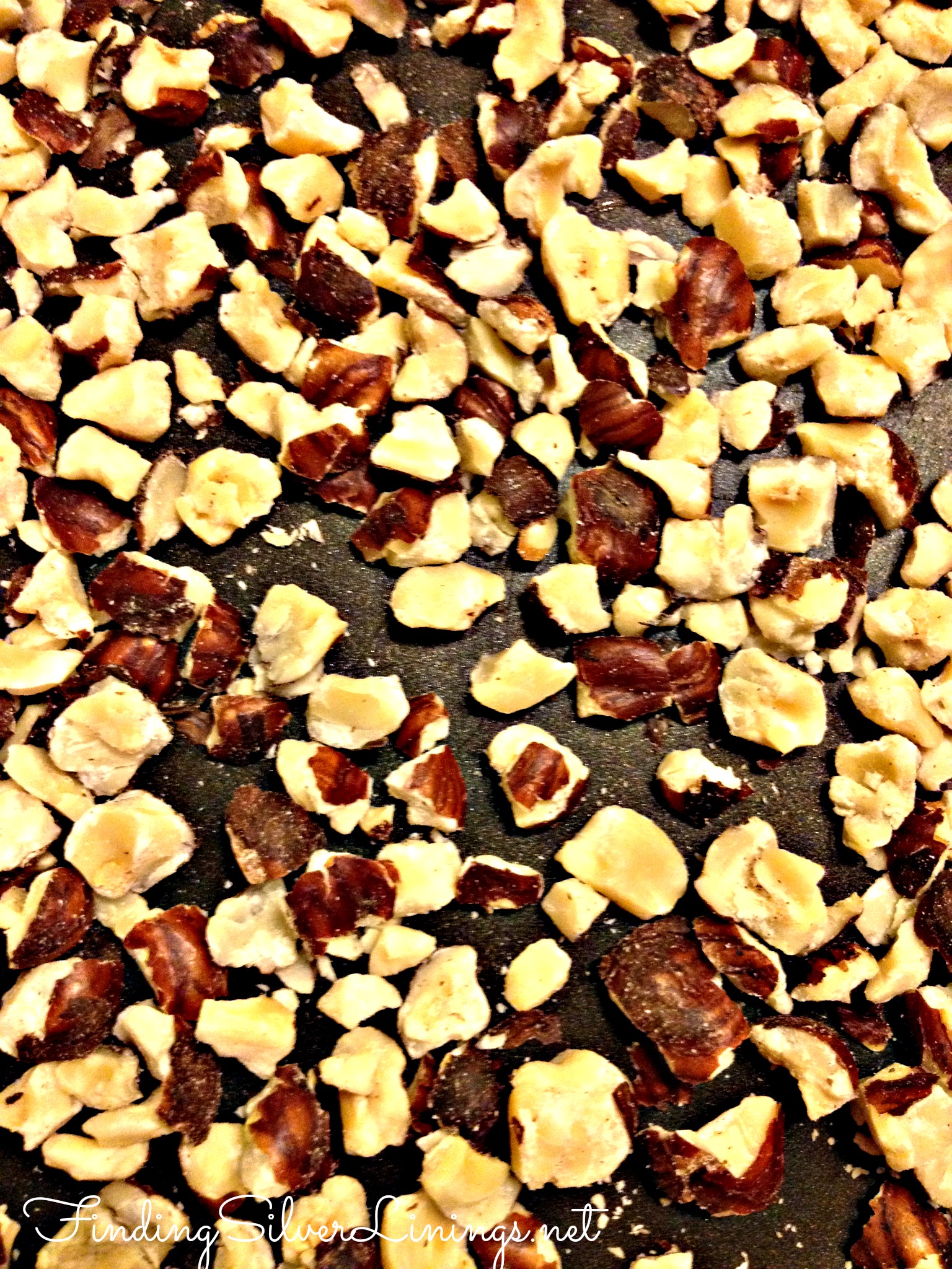 Hazelnut chocolate truffles