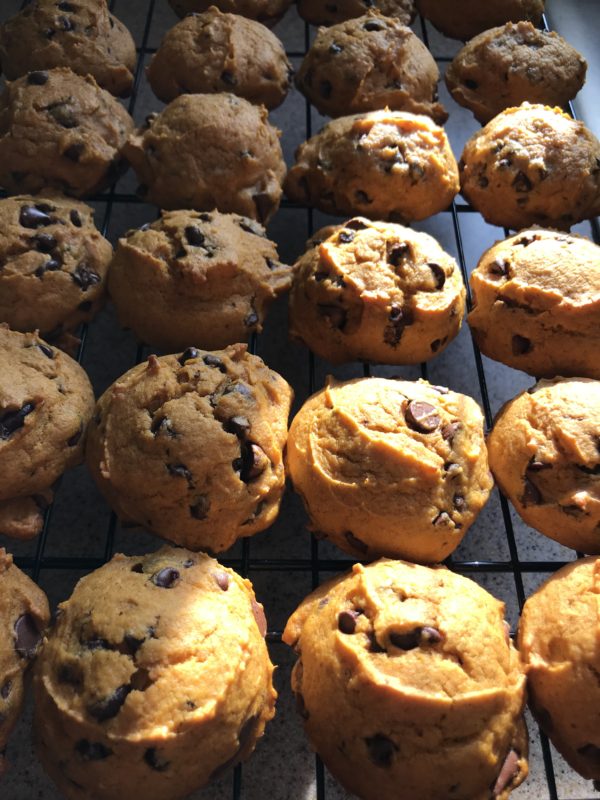 The best soft pumpkin chocolate chip cookie recipe ever