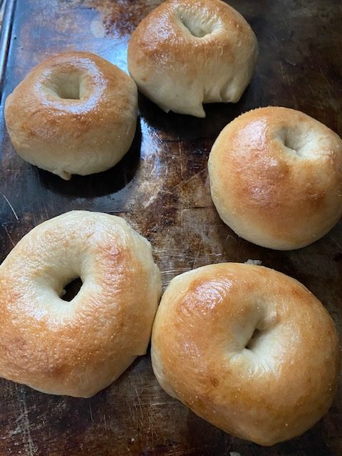 New York Style Bagel Recipe